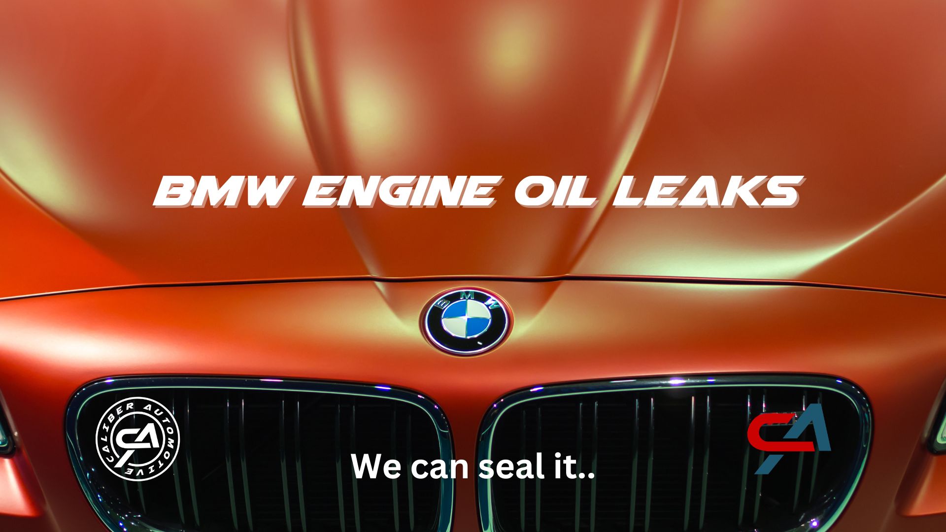 BMW oil leak, BMW N54, BMW N56, BMW valve cover gasket, BMW oil filter housing, BMW rear main seal